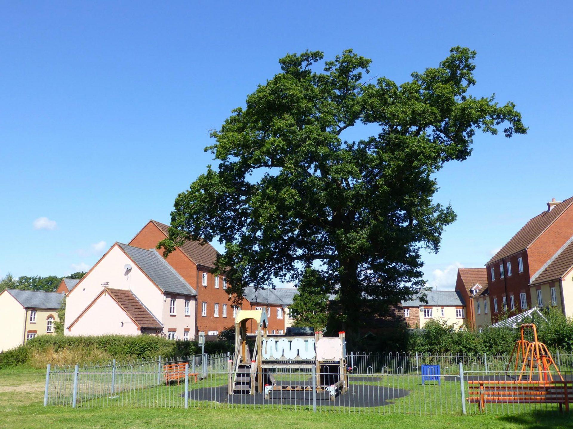 Cotford st Luke Parish Council